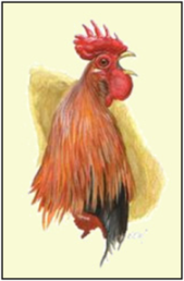 Cochinchine Cochinchine
