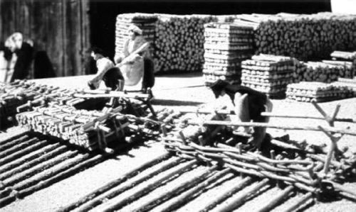 Construction d'un train de bois - La branche -