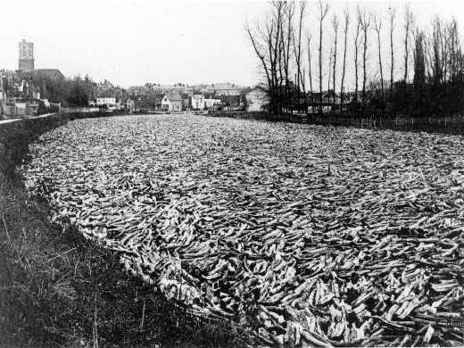 Une rivière de bois à Clamecy