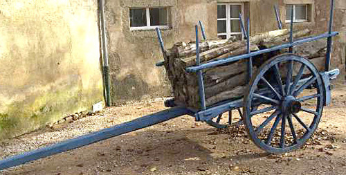 Une belle çarotte Une belle çarotte
