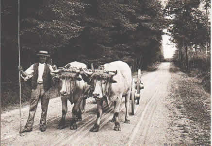 Les Galvachers Les Galvachers