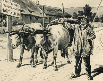 Sourire du Morvan