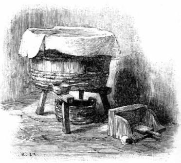 Le cuvier Le cuvier