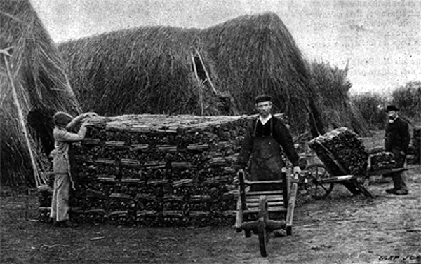 La mise en tas des margotins - M. Desvignes La mise en tas des margotins - M. Desvignes