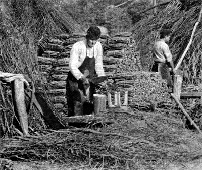 La toilette - M. Desvignes La toilette - M. Desvignes