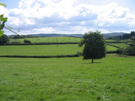Vue du Morvan